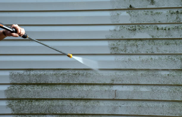 Best Mold Cleaning Services  in Garyville, LA